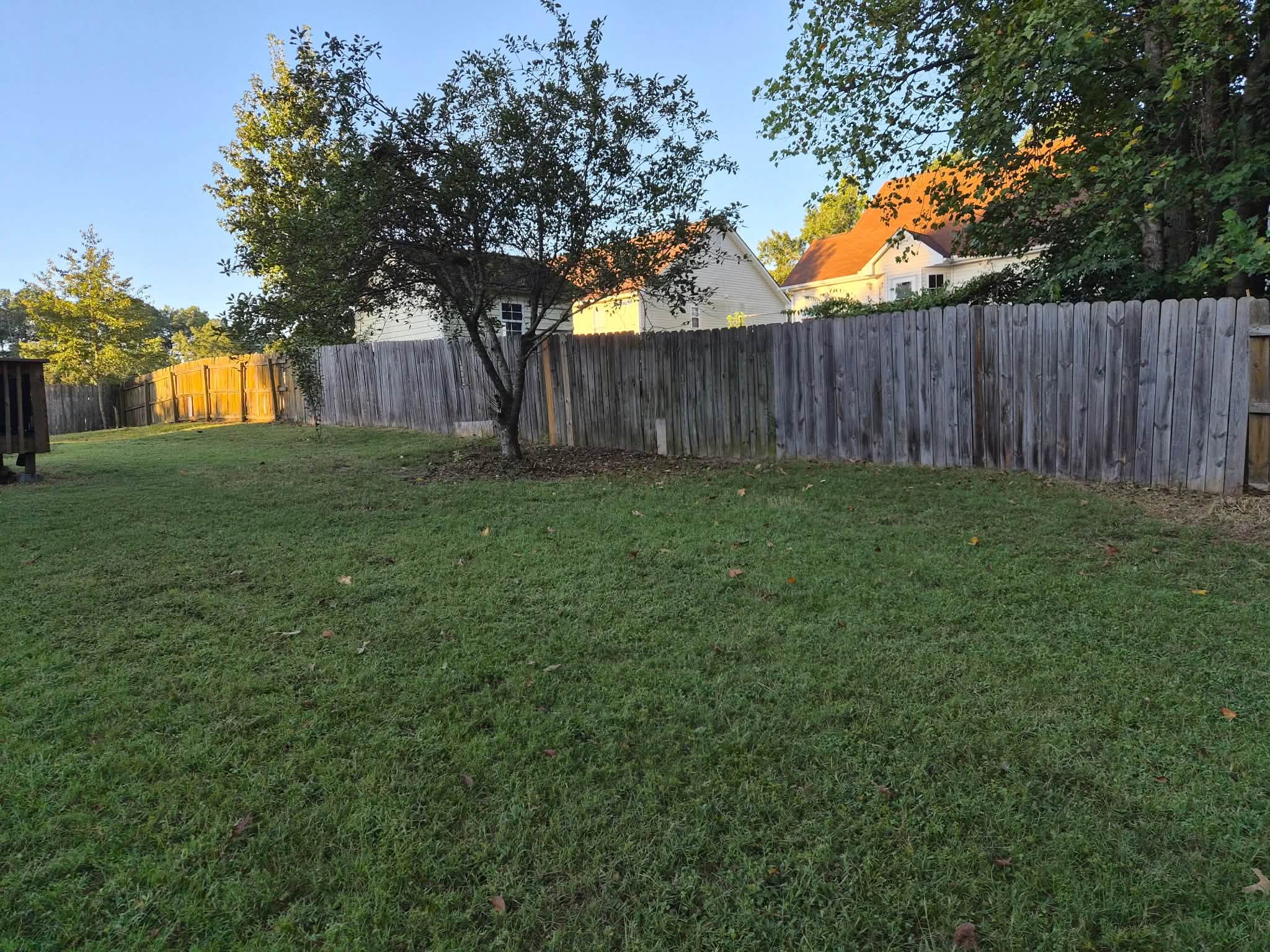 Wide green lawn framed by mature trees